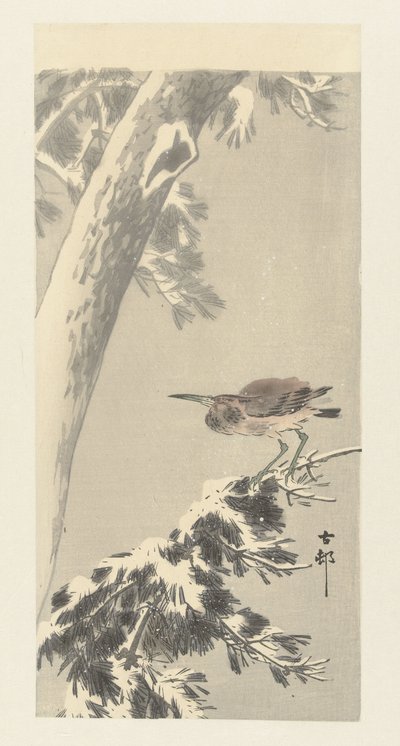 charlatão indiano em ramo de árvore com neve de Ohara Koson