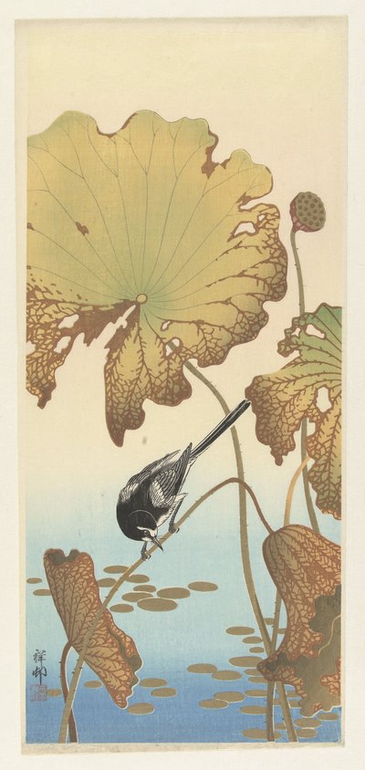 Alvéola japonesa na planta de lótus de Ohara Koson
