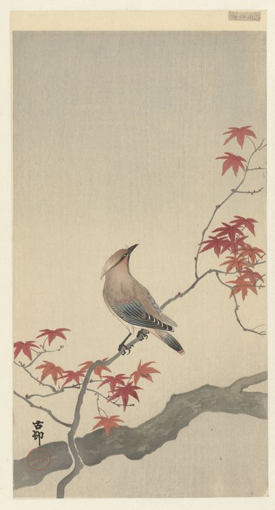 Pássaro da peste japonesa no bordo do bordo. de Ohara Koson