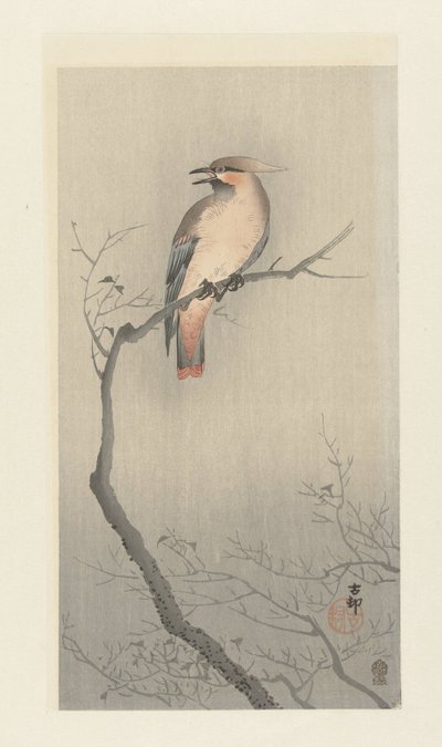 Waxwing japonês no galho de Ohara Koson