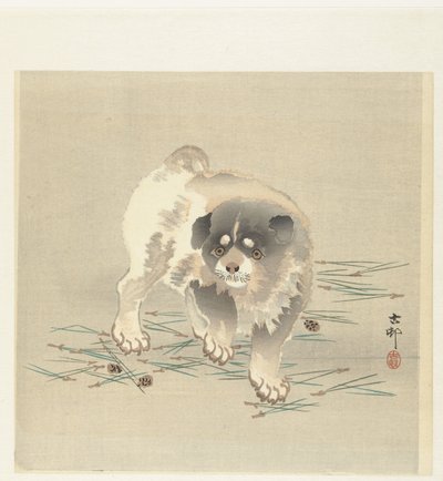 Cão jovem de Ohara Koson