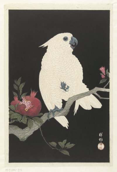 Cockatoo e romã de Ohara Koson
