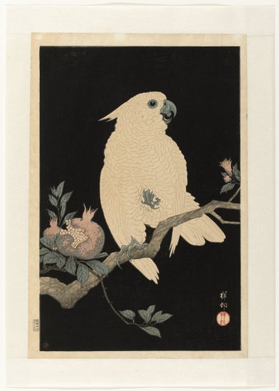 Cacatua com romã de Ohara Koson