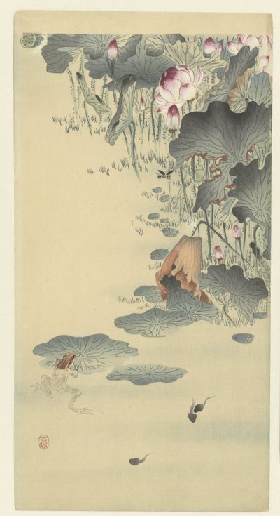 Sapos e girinos de Ohara Koson