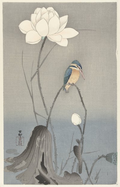 Kingfisher com Flor de Lotus de Ohara Koson