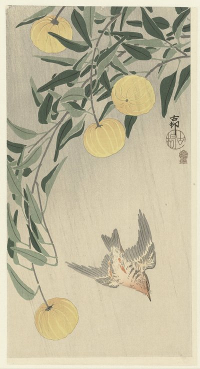 Cucu à chuva de Ohara Koson