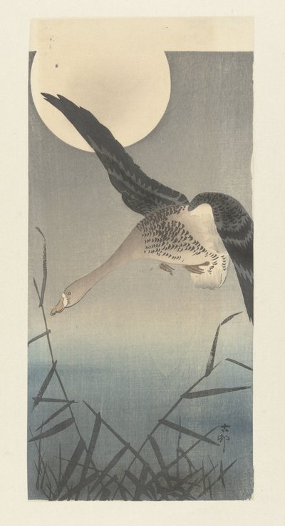 Ganso-de-testa-branca na lua cheia de Ohara Koson