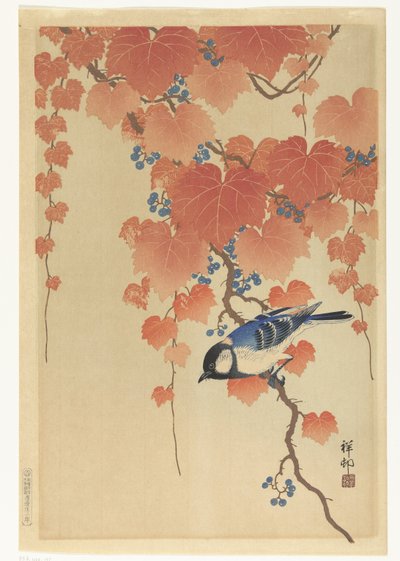 Grande chapim no ramo de paulownia de Ohara Koson