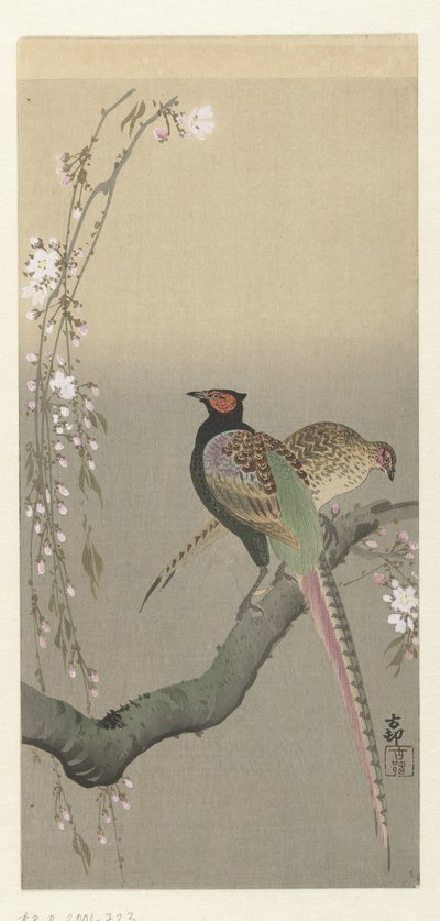 Casal de faisões e flores de cerejeira de Ohara Koson