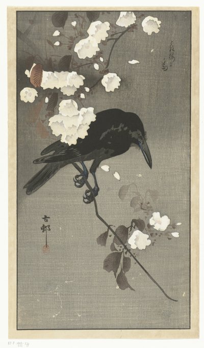 Corvo com flor de cerejeira Hana sakura no tori (título no objeto) de Ohara Koson