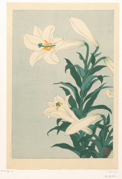 Lelies de Ohara Koson