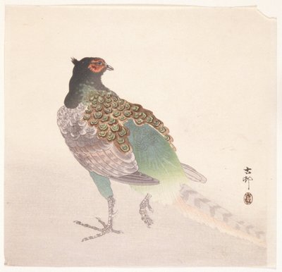 Faisão (impressão em bloco de madeira a cores) de Ohara Koson