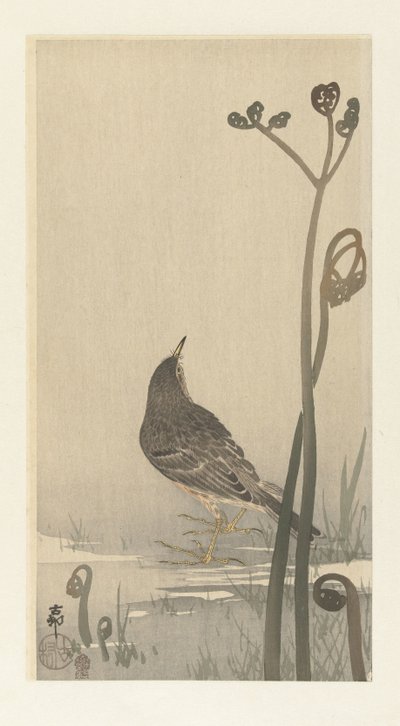 Bip na orla de Ohara Koson