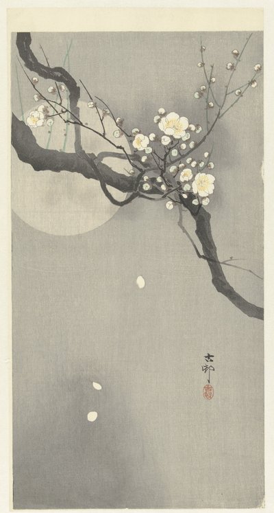 Flor de ameixa e lua cheia de Ohara Koson