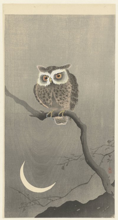 Coruja de celeiro no galho de árvore nua de Ohara Koson