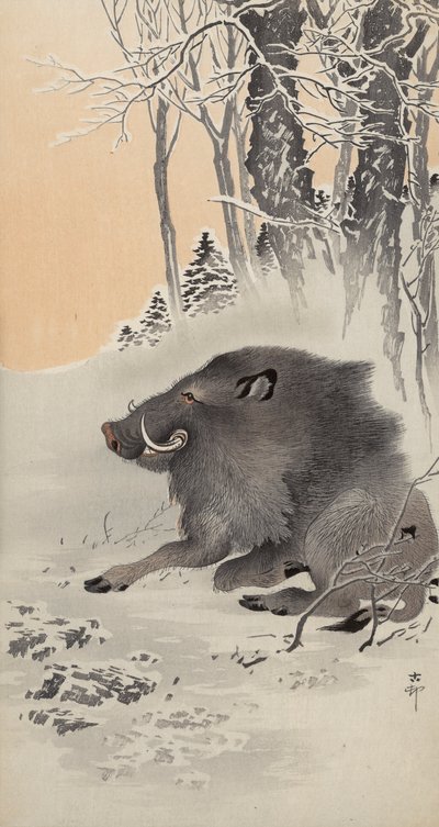 Javali de recobrimento em uma paisagem coberta de neve (impressão em bloco de madeira colorida) de Ohara Koson