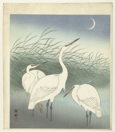 Garças em águas pouco profundas de Ohara Koson