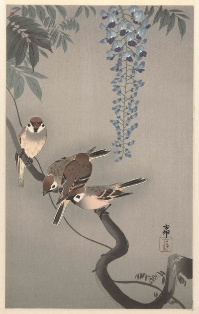 Pardais de anel em glicínias de Ohara Koson