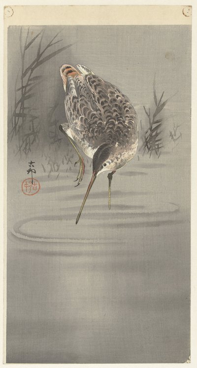 Corte na água de Ohara Koson