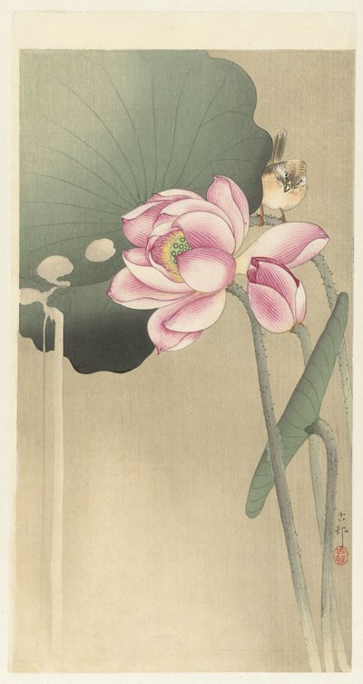 Songbird e Lotus de Ohara Koson