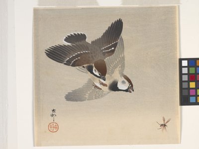 Sparrows Chasing Flying Insect (impressão em bloco de madeira a cores) de Ohara Koson