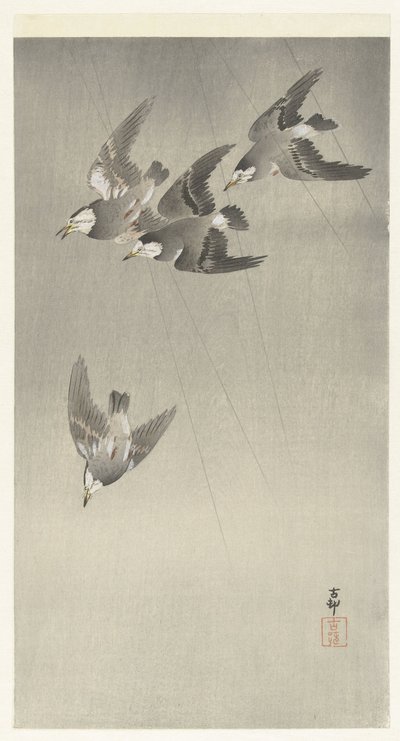 Starling na chuva de Ohara Koson
