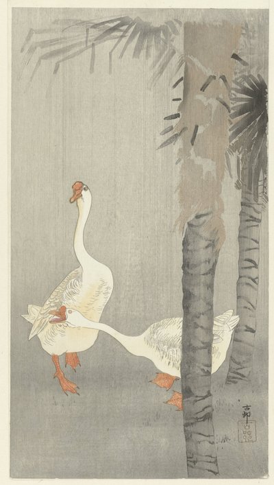 Tamme todo na chuva de Ohara Koson
