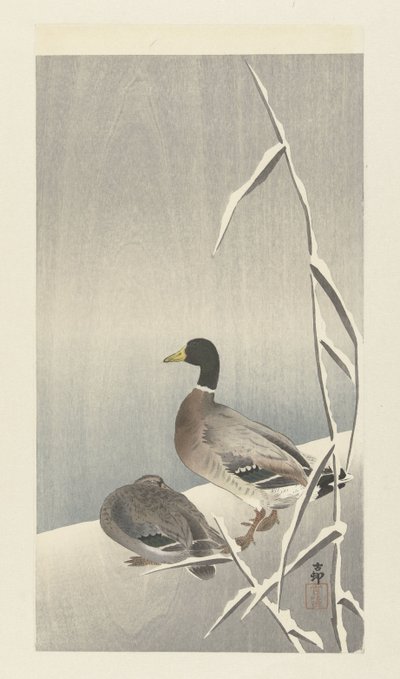 Dois patos em cobertura de cana com neve de Ohara Koson