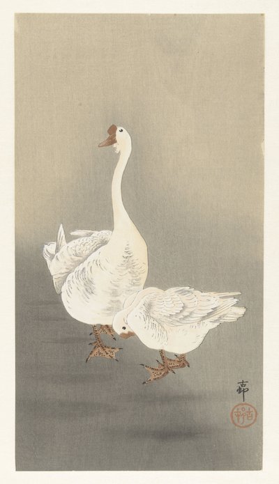 Dois inteiros de Ohara Koson