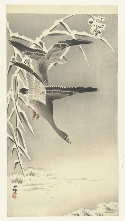 Dois gansos de peito branco em uma paisagem de neve de Ohara Koson