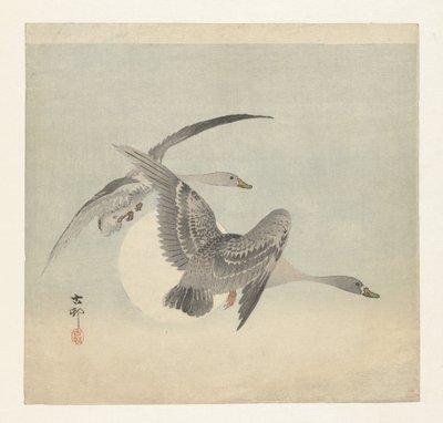 Dois gansos de peito branco em voo de Ohara Koson