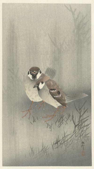 Dois pardais na chuva de Ohara Koson