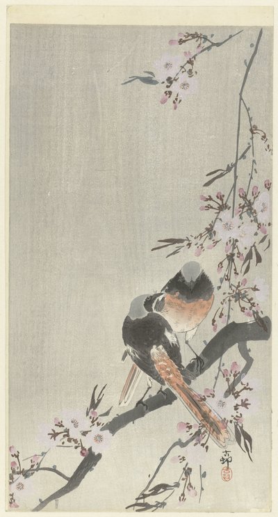 Duas caudas vermelhas espelhadas com flores de cerejeira de Ohara Koson