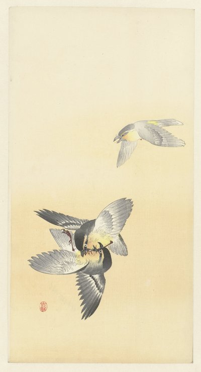 Duas aves de combate de Ohara Koson