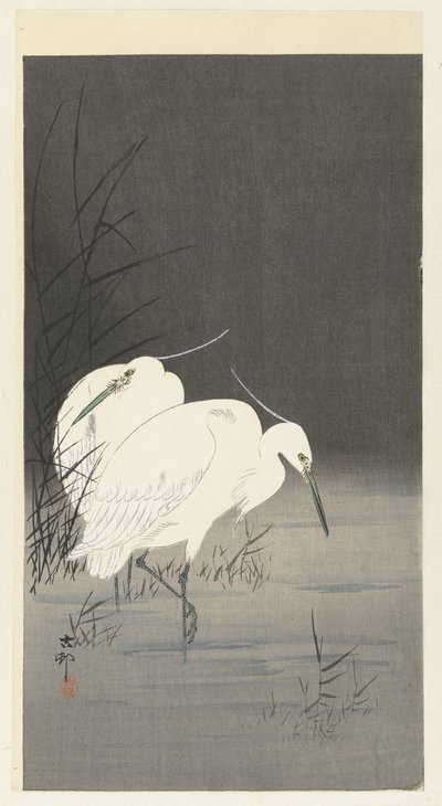 Duas garças nos juncos de Ohara Koson
