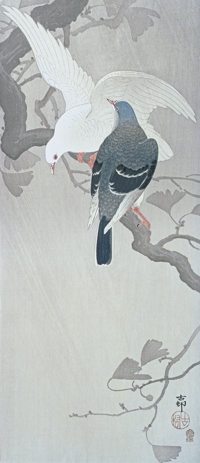 Duas pombas na chuva num ramo de uma árvore Ginko de Ohara Koson