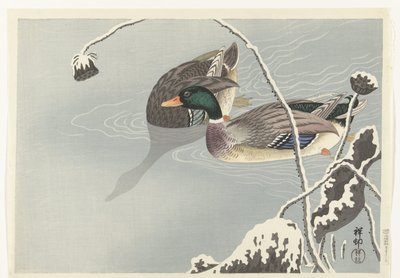 Dois Mallards perto de um Lotus coberto de neve de Ohara Koson