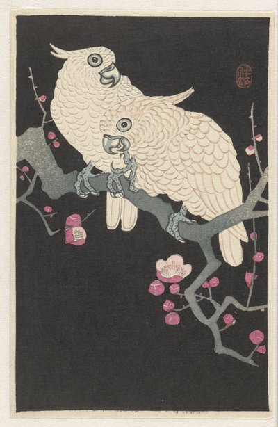 Duas catatuas e flores de ameixa de Ohara Koson