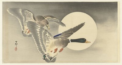 Dois patos com lua cheia de Ohara Koson