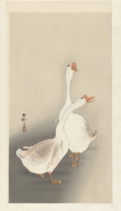 Dois gansos de Ohara Koson