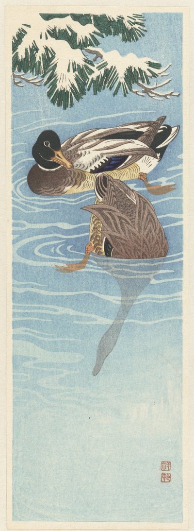 Dois patos selvagens na água de Ohara Koson