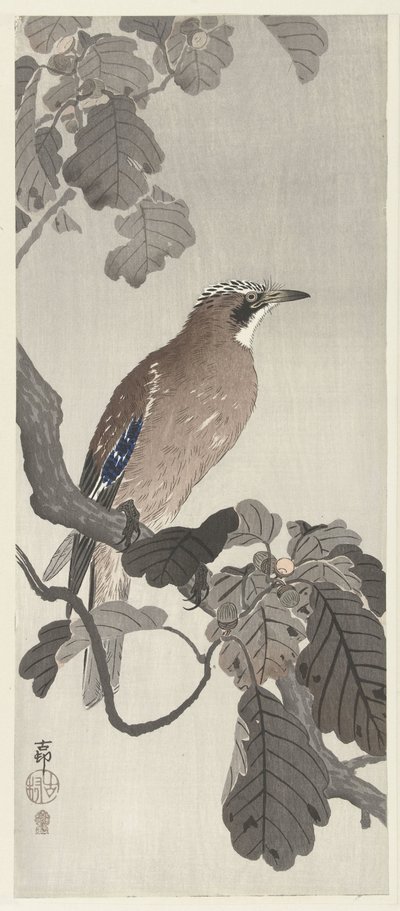Gaio flamengo no galho de árvore de Ohara Koson