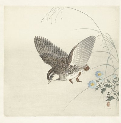 codorna voadora de Ohara Koson