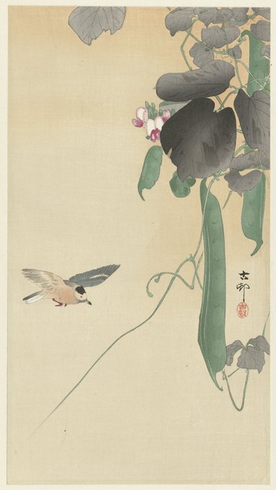 Ave na planta do feijão florido de Ohara Koson