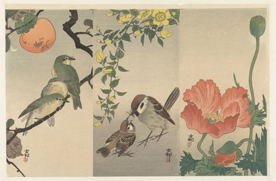 Pássaros e plantas de Ohara Koson