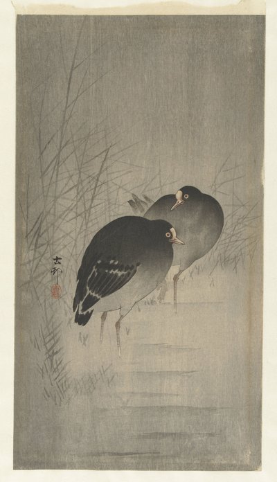 Moorhens entre palhetas de Ohara Koson