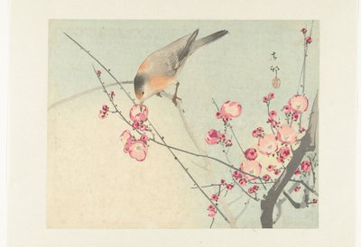 Ave canora em ramo de floração de Ohara Koson