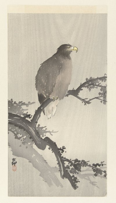 Águia careca no galho de Ohara Koson
