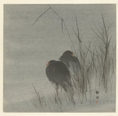 Dois galeirões entre palhetas de Okuhara Seiko