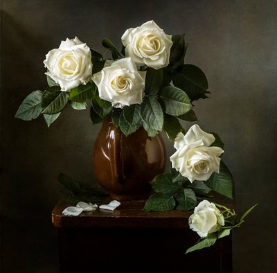 Rosas brancas elegantes de Olga Aleksandrovna